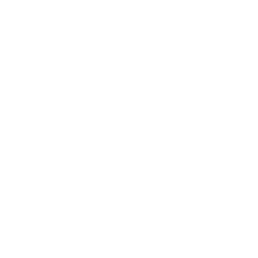 Eleições 2025
