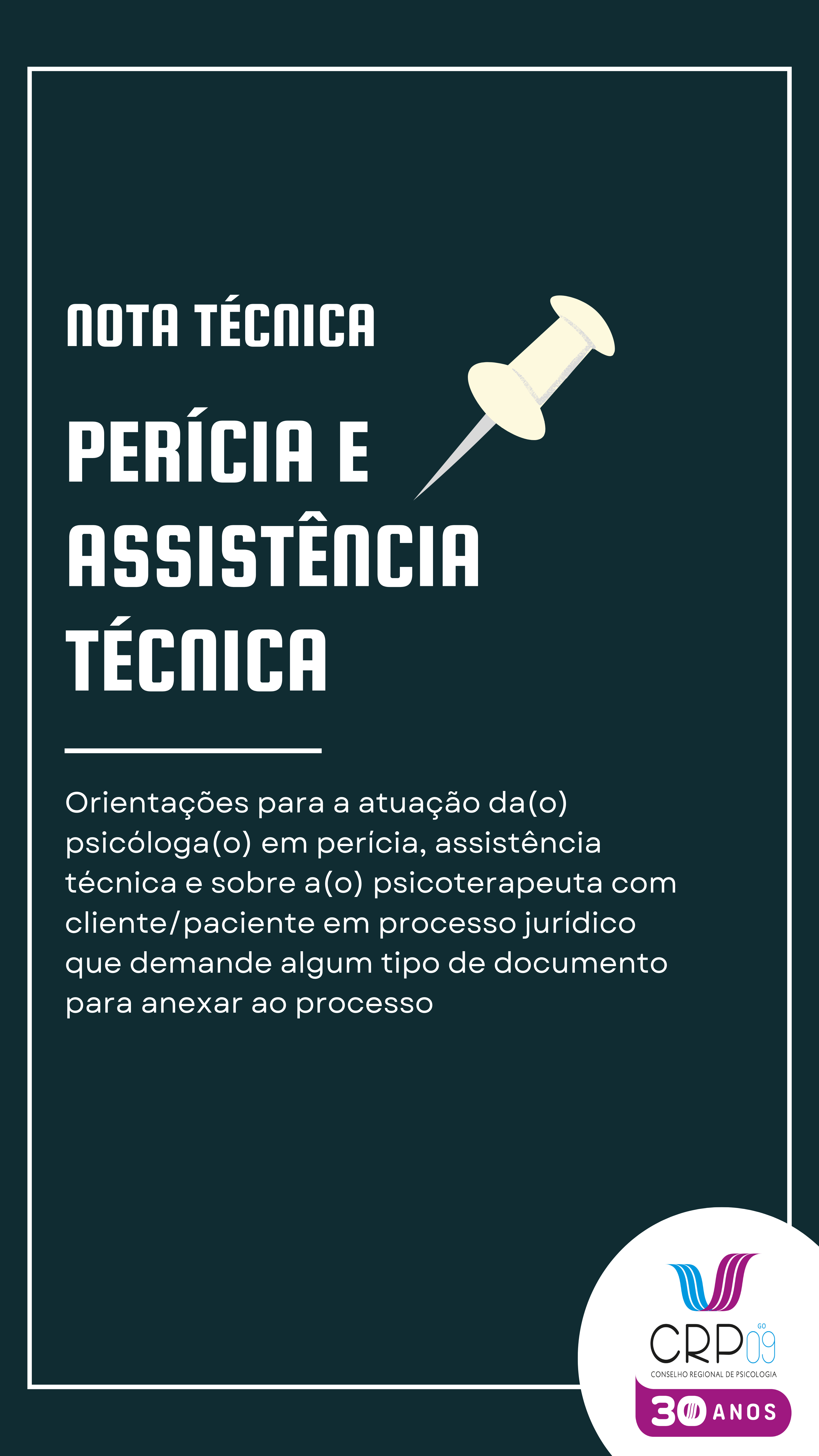 Nota Técnica Perícia Story do Instagram