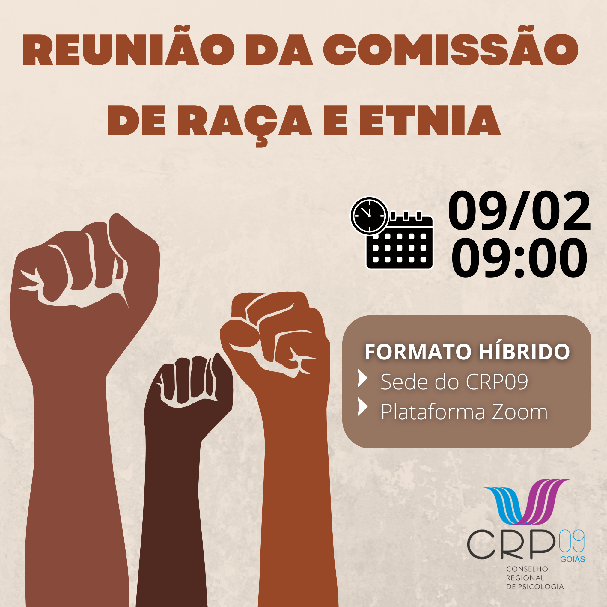 REUNIÃO DA COMISSÃO DE RAÇA E ETNIA feed