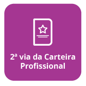 2 via car profissional 2